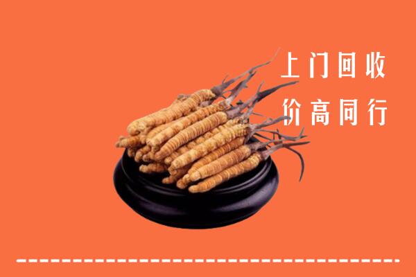 高价求购：马村区回收散虫草