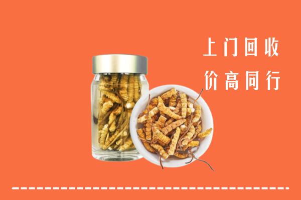 马村区回收冬虫夏草