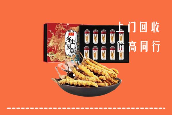 马村区回收虫草